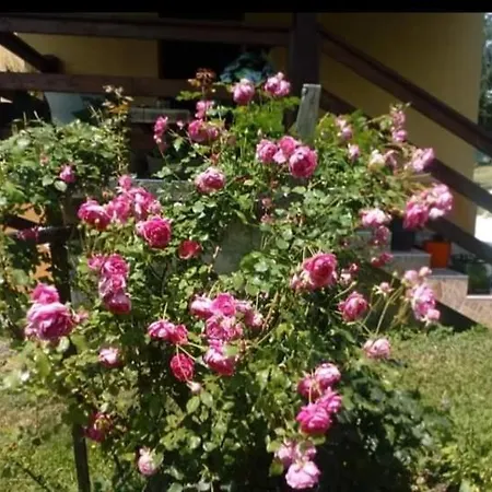Seosko Domacinstvo Gardic Apartment