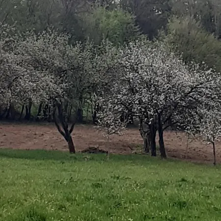 Seosko Domacinstvo Gardic Uzice